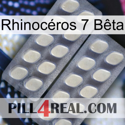Rhinocéros 7 Bêta 07